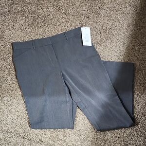 Maurices Slim Boot Mid-Rise Pants in Dark Gray